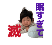 852666555