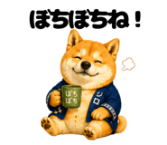 852667092