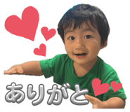 852667213