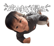 852668120