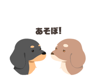 852668181
