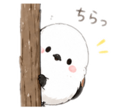 852669157