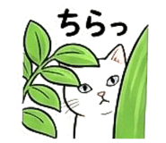 852669276