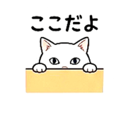 852669290