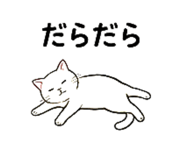 852669294