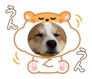 852670044