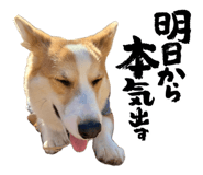 852670046