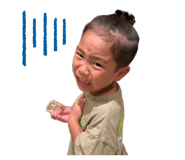 852670190