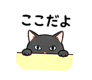 852670489