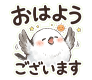 852671668