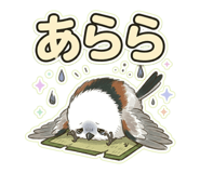 852671686