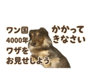 852672316