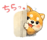 852672885