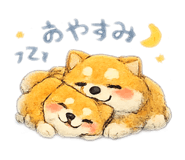 852672904