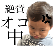 852679555