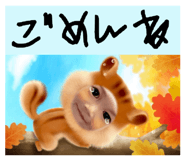 852679556