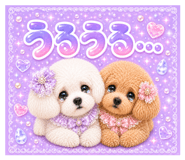 852679826