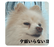 852680143