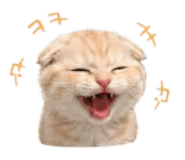 852680555