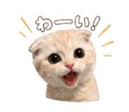 852680556