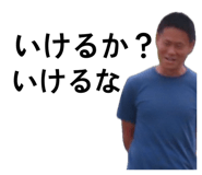 852680771