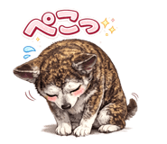 852681152
