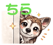 852681157