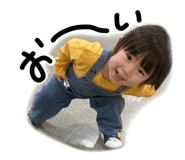 852681213