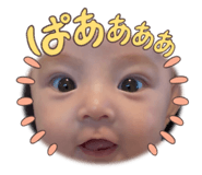 852681309