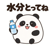 852681348