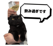 852681662