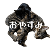 852681663