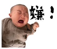 852681804