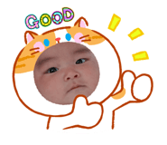 852681826