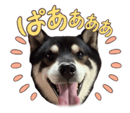 852681854