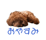 852682250
