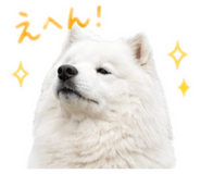 852683401