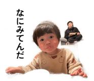 852683990