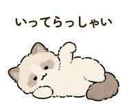 852686317