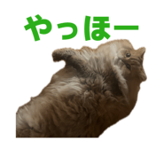 852688639