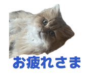 852688642