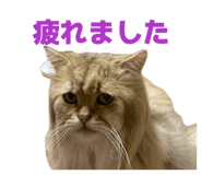 852688643