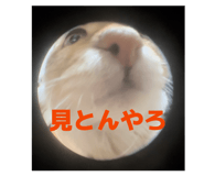 852688651