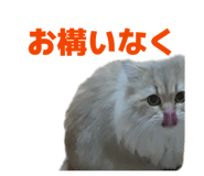 852688652