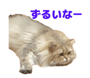 852688654