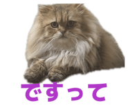 852688656