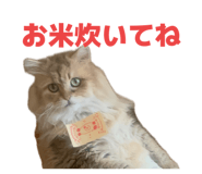852688662