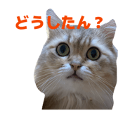 852688665