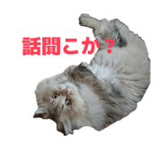 852688667