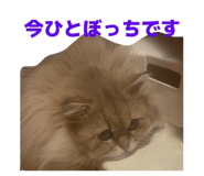 852688669